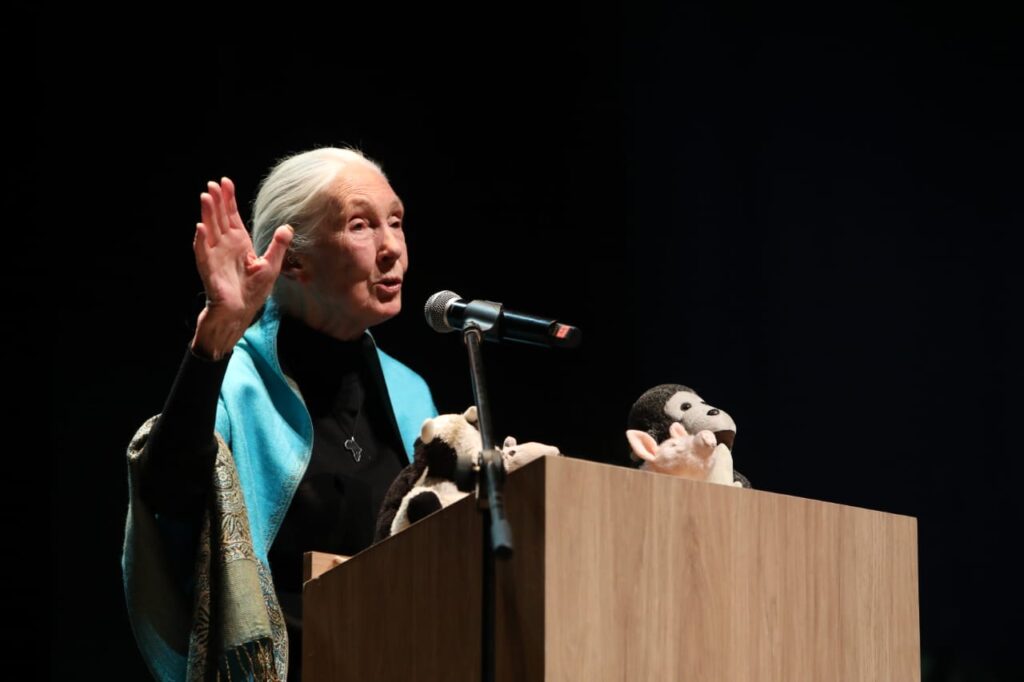 El mensaje de Jane Goodall a los jóvenes en Medellín que sueñan trabajar por los animales El mensaje de Jane Goodall a los jóvenes en Medellín que sueñan trabajar por los animales