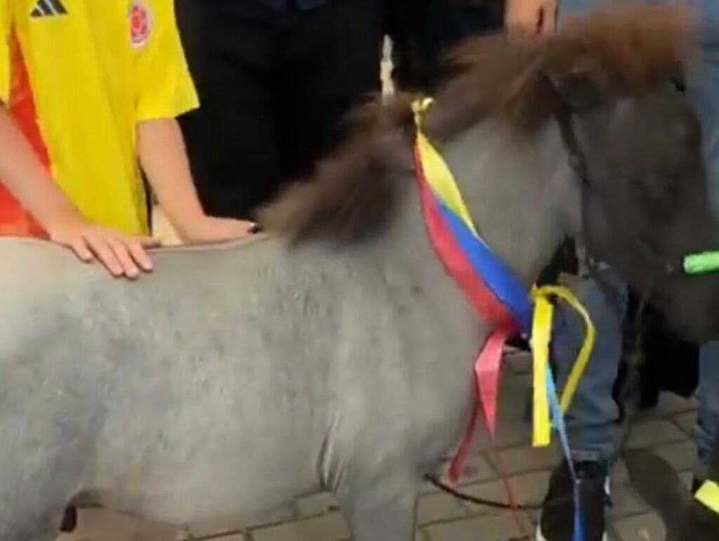 Rifaron el poni de los nietos del expresidente Uribe Rifaron el poni de los nietos del expresidente Uribe