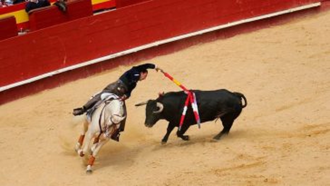 corridas de toros